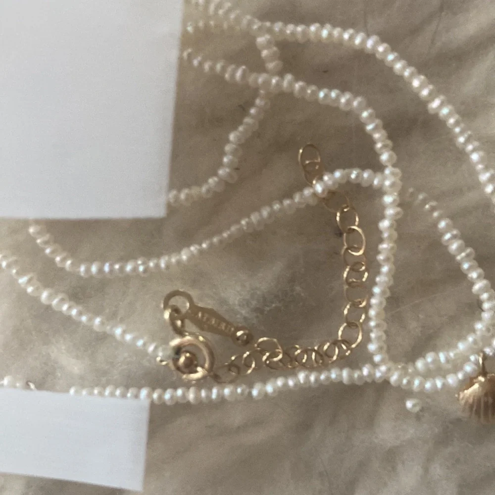 Everlasting Summer Shell Charm, please read description - Picture 5 of 6